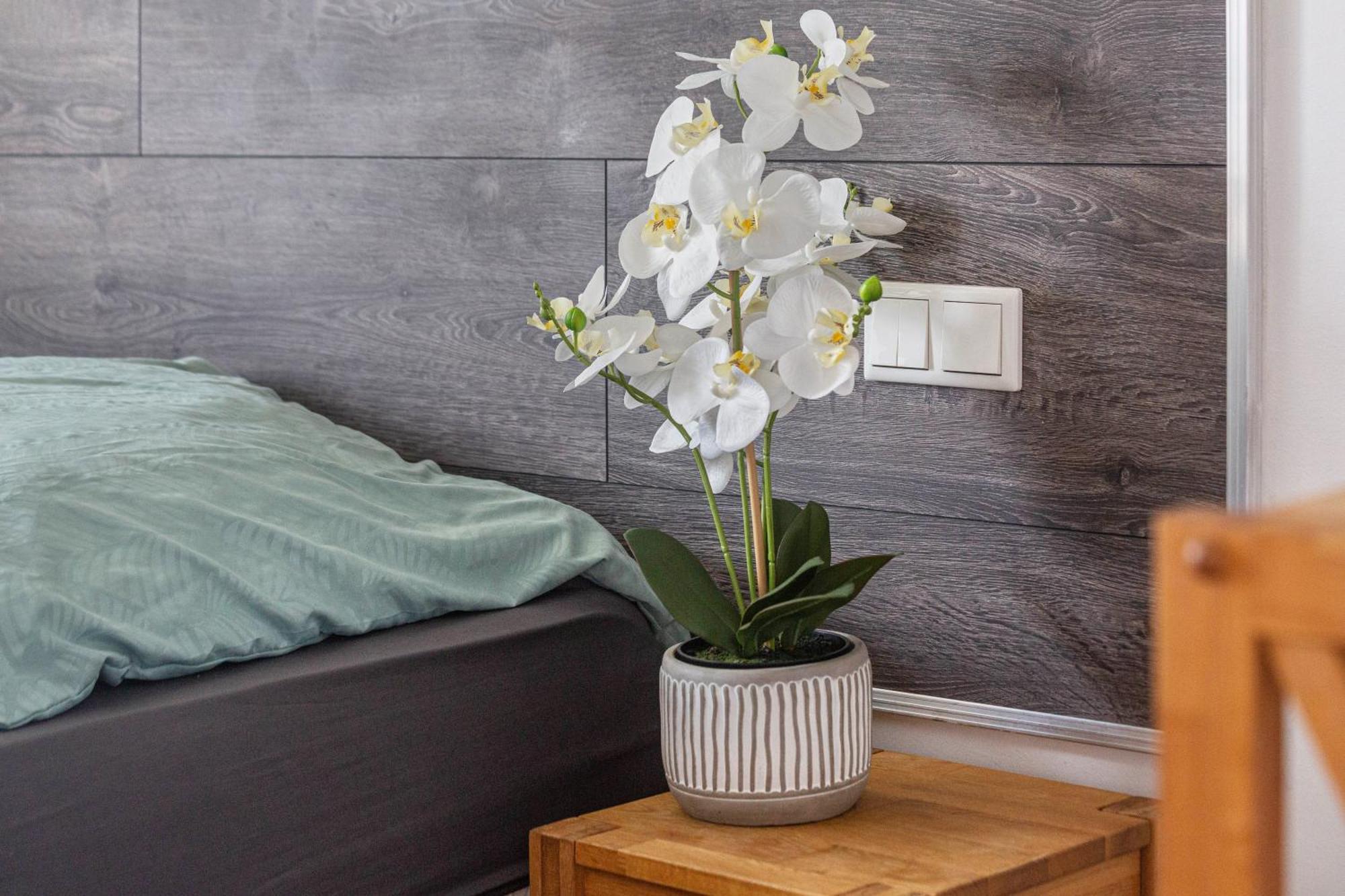 Suite In Essen-City Экстерьер фото